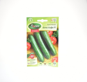 CASTRAVETI BETA ALFA F1 - 1 G - FLORIAN