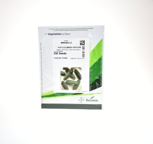CASTRAVETI MIRABELLE - 250 SEM