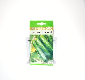 CASTRAVETI MARKETMORE - MEFIM