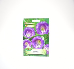 COBEA - FLORIAN - 1223