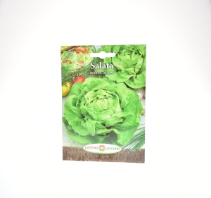 SALATA REGINA DE MAI - PRIMA SEMENTI