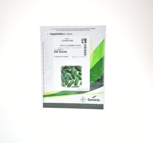 CASTRAVETI LEVINA - 250 SEM - SEMINIS