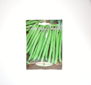 FASOLE FIDELUTA VERDE OLOAGA WOTTER - PRIMA SEMENTI