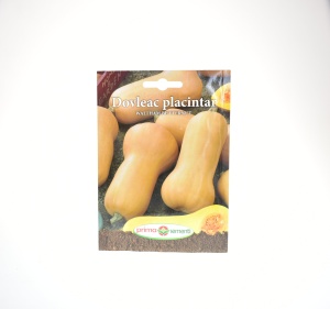 DOVLEAC PLACINTAR - WALTHAM BUTTERNUT - PRIMA SEMENTI
