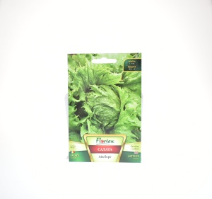 SALATA ICEBERG - 2 G - FLORIAN