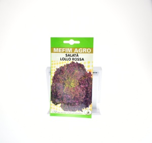 SALATA LOLLO ROSSA - MEFIM