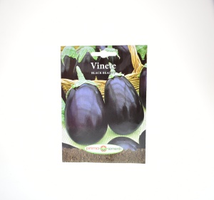 VINETE - BLACK BEAUTY - PRIMA SEMENTI