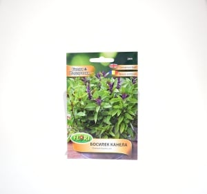 BUSUIOC SCORTISOARA - FLORIAN - 344