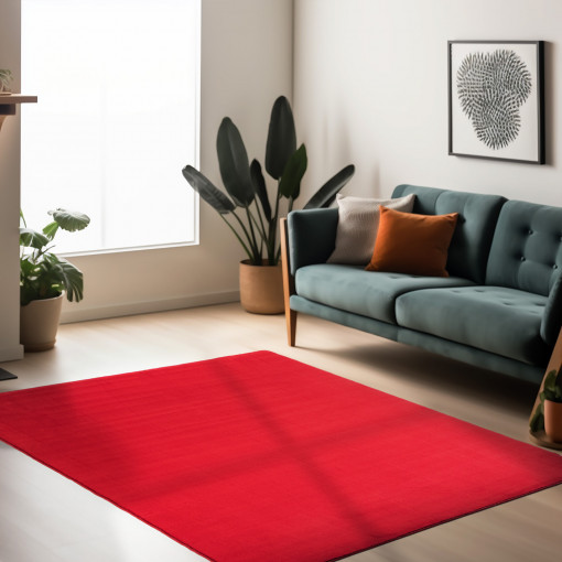 Covor Sky Rosu V1 200x290 cm