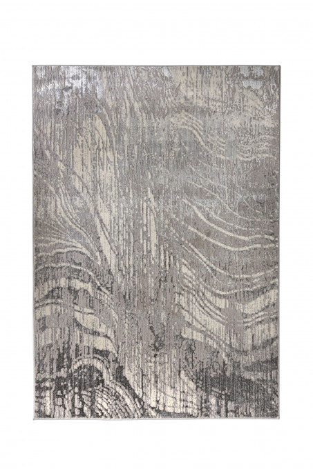 Covor Arissa Argintiu 120x170 cm