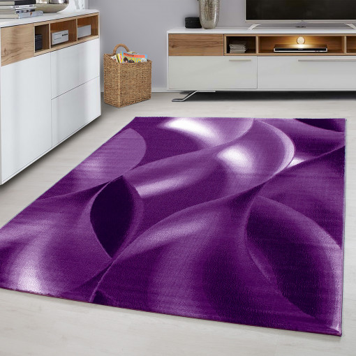 Covor Plus Lila V2 120x170 cm