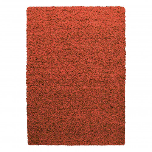 Covor tip Traversa Life Terra V1 60x110 cm