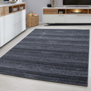 Covor tip Traversa Plus Gri V1 80x150 cm - Img 2