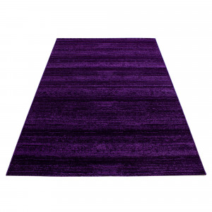 Covor Plus Lila V1 240x340 cm - Img 3