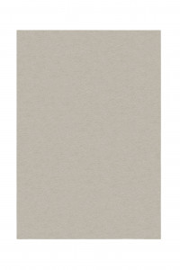 Covor Mellow Soft Natural 200x290 cm - Img 2