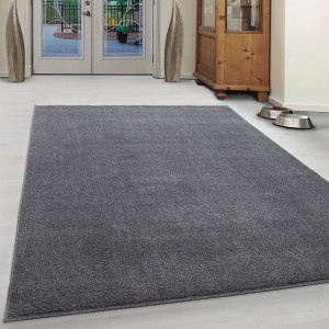 Covor Ata Gri deschis V1 240x340 cm