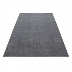 Covor Ata Gri deschis V1 160x230 cm - Img 3