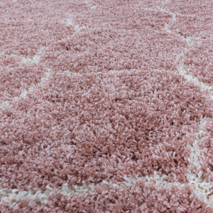 Covor Salsa Rose V1 240x340 cm - Img 6