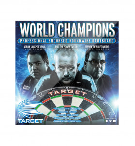 Tinta Darts WORLD CHAMPION ROUND WIRE - Img 2