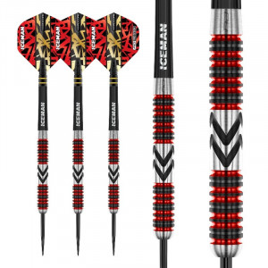 Set 3 Sageti Darts Gerwin Price Firebird - Img 8