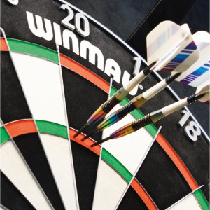 Sistem iluminare Tinta POLARIS Winmau - Img 5