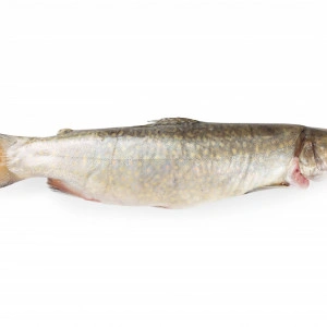 Păstrăv eviscerat (1 kg - calib. 300 - 350 g) - livrare doar în Sibiu