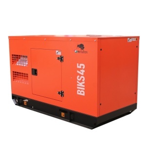 Generator insonorizat BIKS45 ATS, Putere maxima 44 kVA, 400V, AVR, motor Diesel - Img 2