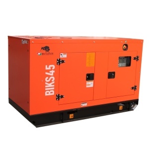 Generator insonorizat BIKS45 ATS, Putere maxima 44 kVA, 400V, AVR, motor Diesel