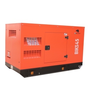 Generator insonorizat BIKS45 ATS, Putere maxima 44 kVA, 400V, AVR, motor Diesel - Img 3