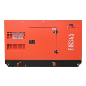 Generator insonorizat BIKS45 ATS, Putere maxima 44 kVA, 400V, AVR, motor Diesel - Img 4
