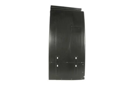 Aparator noroi dreapta fata (partea spate) MAN F2000