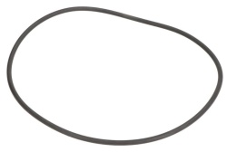 Oring 124x3 cutie viteze ZF