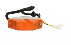 Semnalizator DAF LF (06->)