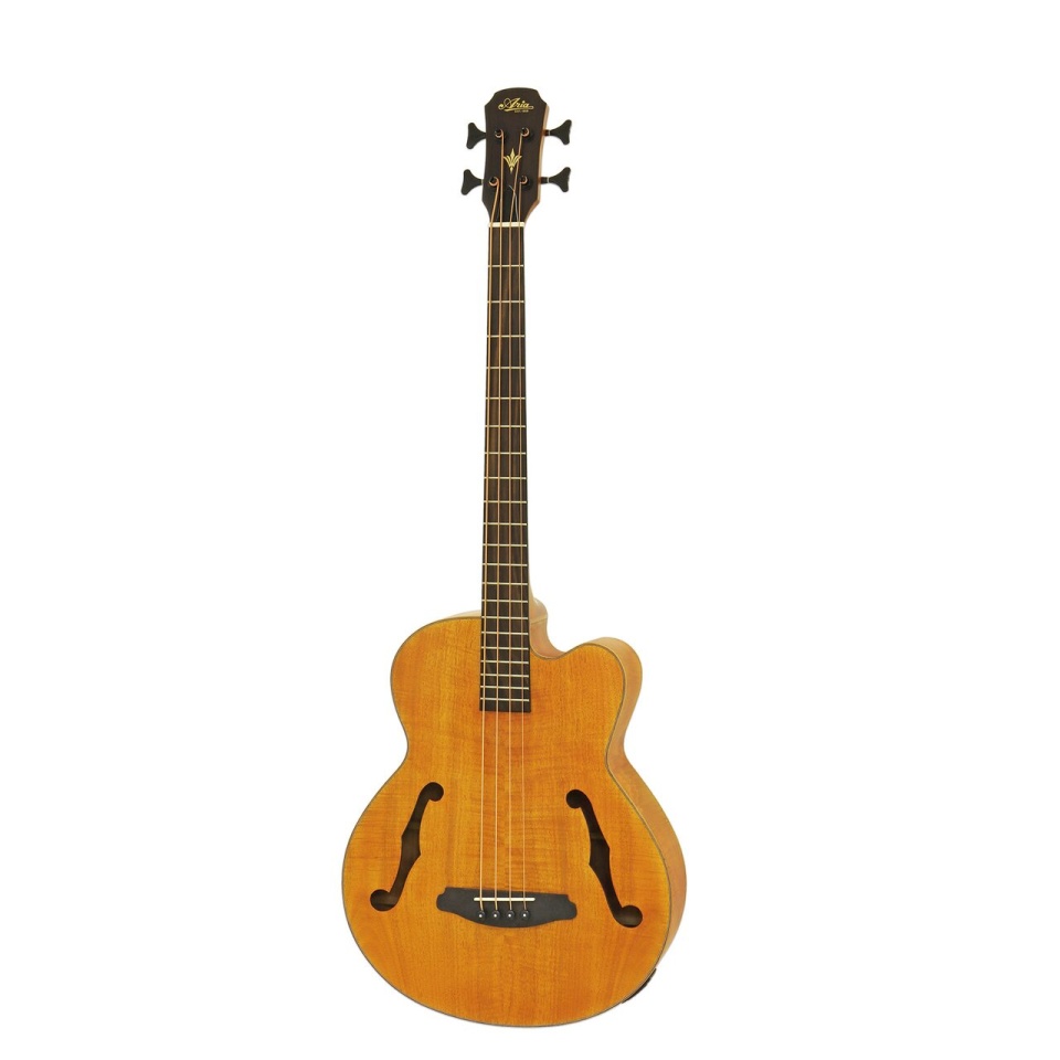 Aria FEB-F2M STBR – Chitară Bas Electro-Acustică Medium Scale Stained Brown