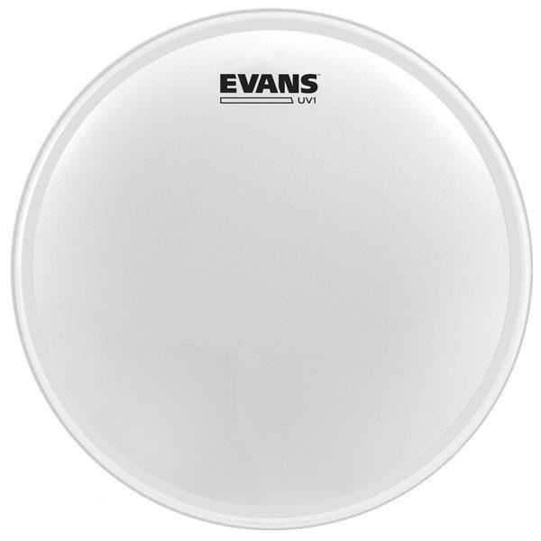 UV1 Coated 14" Evans B14UV1