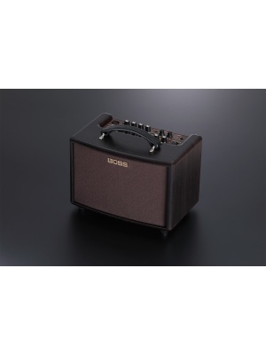 Boss AC-22LX - Img5