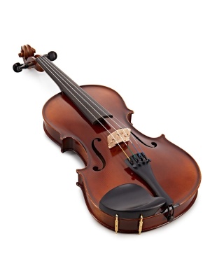 Gewa Allegro VL1 4/4 cu Husă – Instrument de Calitate pentru Începători și Avansați - Img5