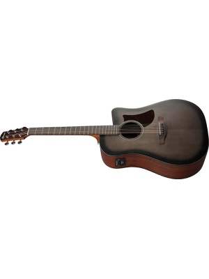 Ibanez AAD50CE-TCB - Img4