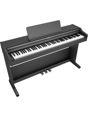 Roland RP107 - Img10