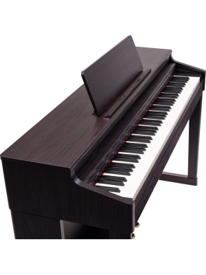 Roland RP701-DR - Img8