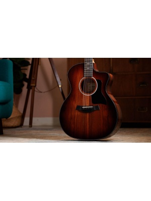 Taylor 224ce-K DLX - Img11