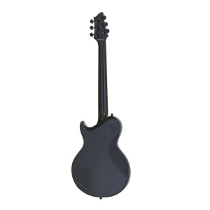 Aria Pro II PE-390 Black - Img2
