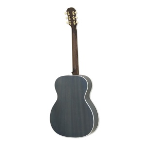 Chitara Acustica Aria 101 Urban Player STBL Stained Blue - Img2