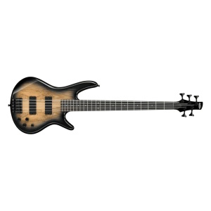Ibanez GSR205SM-NGT (Natural Gray Burst)