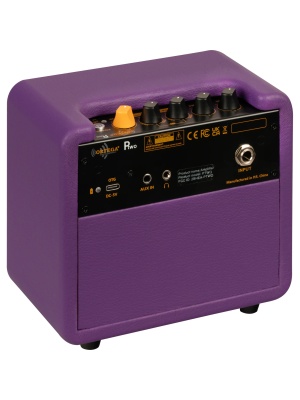 Ortega PTWO-LTD2 - Img2