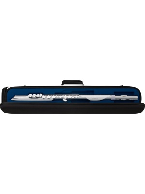 Roland Aerophone Brisa - Img10