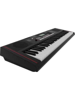 Roland E-X10 - Img5