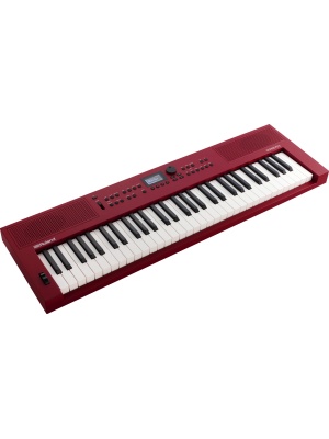 Roland Go:Keys 3 RD - Img2