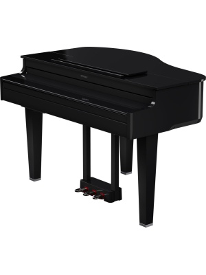 Roland GP-6-PE - Img2