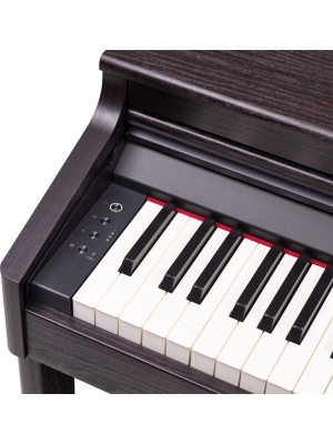 Roland RP701-DR - Img5